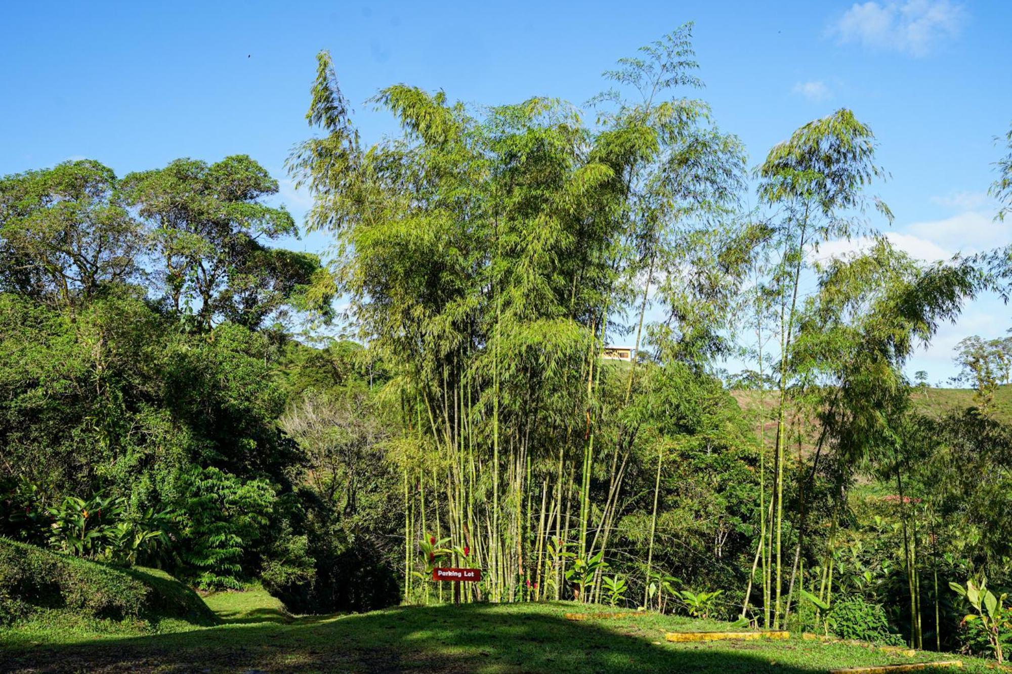 Essence Arenal Spa & Yoga El Castillo Экстерьер фото